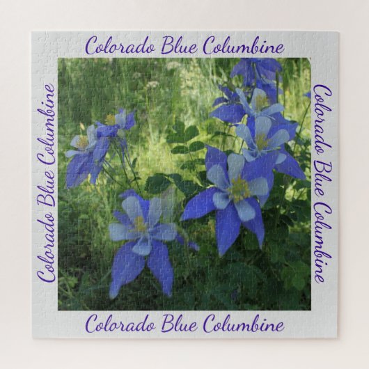Colorado Blue Columbine Wildflower Puzzle Legpuzzel (Verticaal)