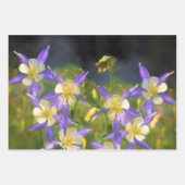 Colorado Blue Columbines Schilderen Originele Kuns Inpakpapier Vel (Voorkant 3)