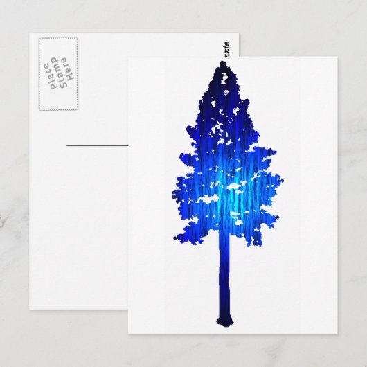 Colorado Blue Spruce Briefkaart (Voorkant / Achterkant)