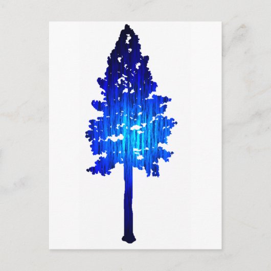 Colorado Blue Spruce Briefkaart (Voorkant)