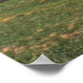 Colorado Boerderij Poster (Hoek)