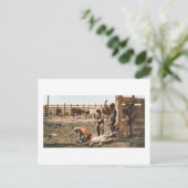 Colorado Branding 1904 Briefkaart (Staand voorkant)