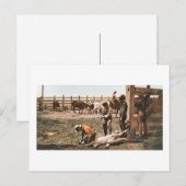 Colorado Branding 1904 Briefkaart (Voorkant / Achterkant)