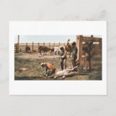 Colorado Branding 1904 Briefkaart (Voorkant)