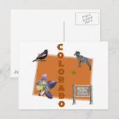 Colorado Briefkaart (Voorkant / Achterkant)