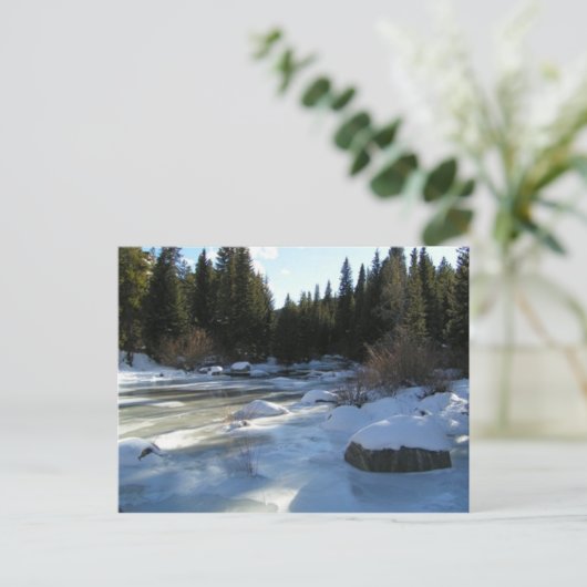 Colorado briefkaart (Staand voorkant)