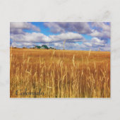 Colorado Briefkaart (Voorkant)