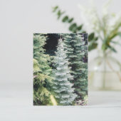 colorado briefkaart (Staand voorkant)