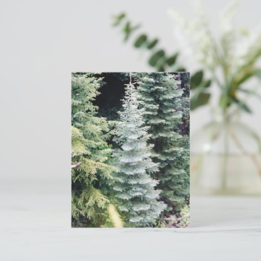 colorado briefkaart (Staand voorkant)