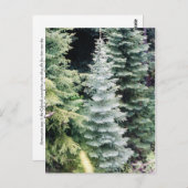 colorado briefkaart (Voorkant / Achterkant)