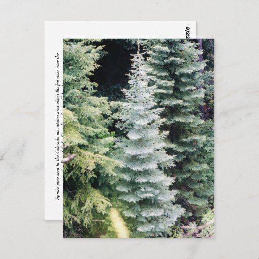 colorado briefkaart (Voorkant / Achterkant)