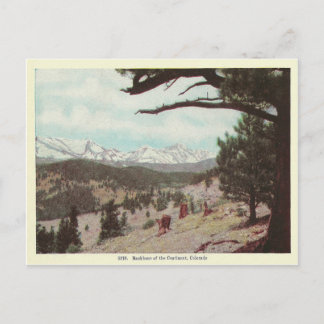 Colorado Briefkaart