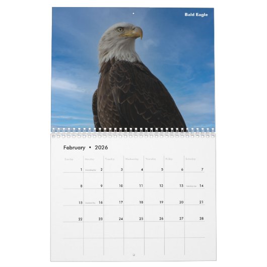 Colorado Calendar Kalender (Feb 2026)
