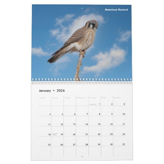 Colorado Calendar Kalender (Jan 2026)