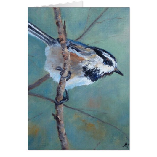 Colorado Chickadee Wenskaart (Voorkant)