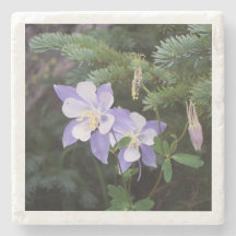 Colorado Columbine 4"x4" Marmeren Onderzetter