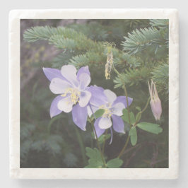 Colorado Columbine 4"x4" Marmeren Onderzetter