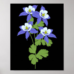 Colorado Columbine Bloem Wilde Bloem Natuur Wandel Poster