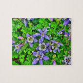 Colorado columbine bloemen puzzel legpuzzel (Horizontaal)