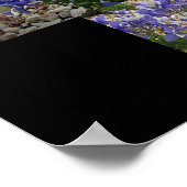 Colorado Columbine Bloom Smiles Wall Art beroemd g Poster (Hoek)