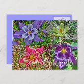 Colorado columbine briefkaart (Voorkant / Achterkant)