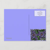 Colorado columbine briefkaart (Achterkant)