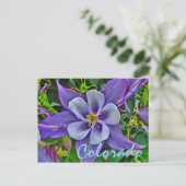 Colorado columbine briefkaart (Staand voorkant)