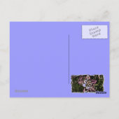 Colorado columbine briefkaart (Achterkant)