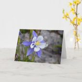 Colorado Columbine Kaart (Gele Bloem)