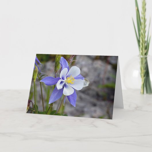 Colorado Columbine Kaart (Voorkant)