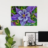 Colorado columbine poster (Thuiskantoor)