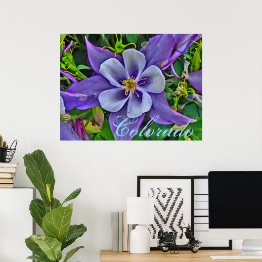 Colorado columbine poster (Thuiskantoor)