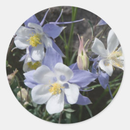 Colorado-columbine Ronde Sticker