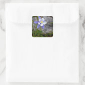 Colorado Columbine Vierkante Sticker (Tas)