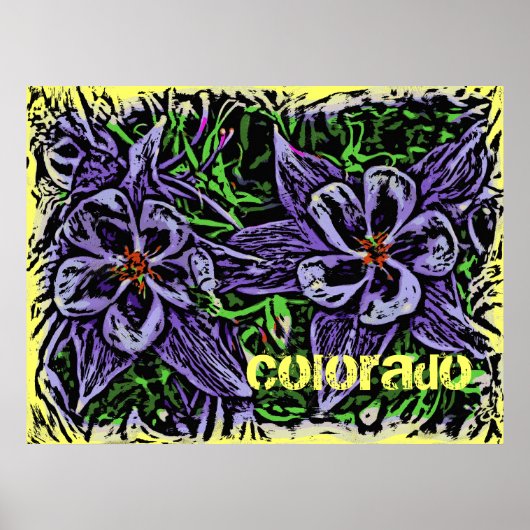 Colorado columbines poster (Voorkant)