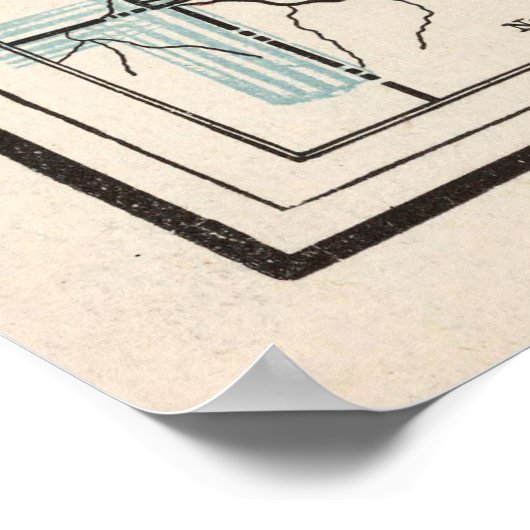 Colorado County County Map (1893) Poster (Hoek)