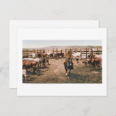 Colorado Cowboy 1904 Briefkaart (Voorkant / Achterkant)