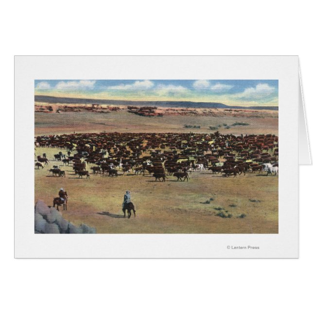 Colorado - Cowboys Rounding (Voorkant Horizontaal)