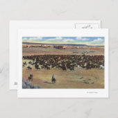 Colorado - Cowboys Rounding Briefkaart (Voorkant / Achterkant)