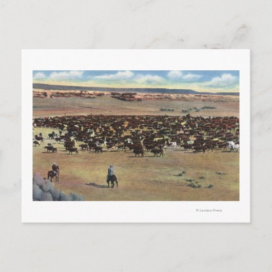 Colorado - Cowboys Rounding Briefkaart (Voorkant)