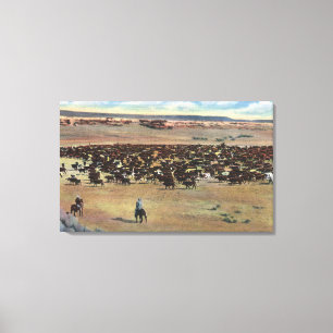 Colorado - Cowboys Rounding Canvas Afdruk