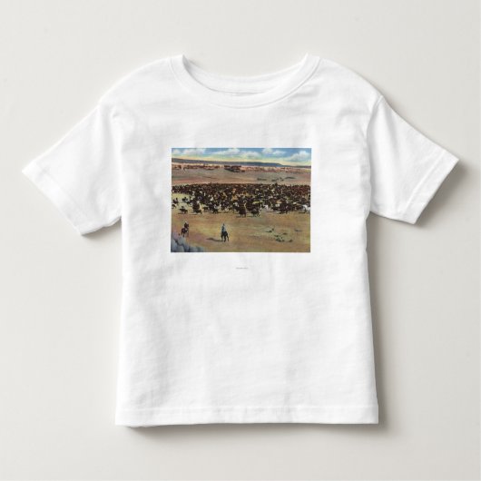 Colorado - Cowboys Rounding Kinder Shirts (Voorkant)