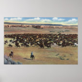 Colorado - Cowboys Rounding Poster (Voorkant)