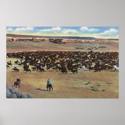 Colorado - Cowboys Rounding Poster (Voorkant)