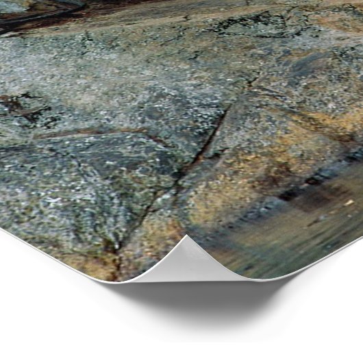 Colorado de Herfsten Poster (Hoek)