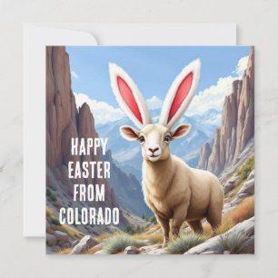 Colorado dikhoornschaap met het oor van een konijn feestdagenkaart