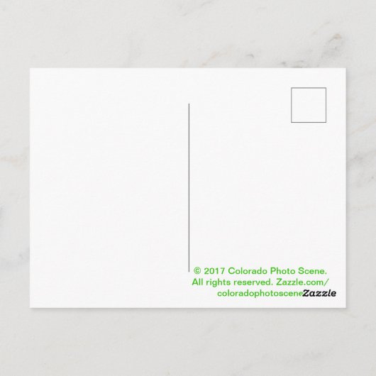 Colorado Elk Briefkaart (Achterkant)