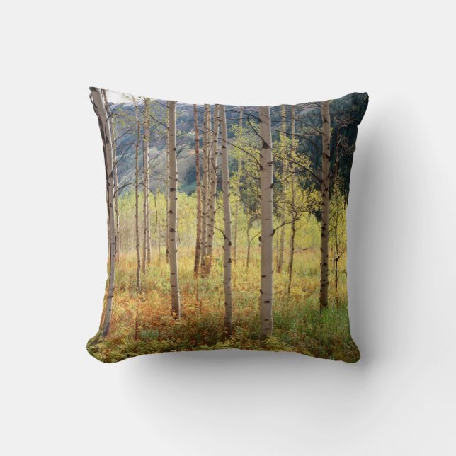 Colorado- en herfstkleuren van aspenbomen kussen (Voorkant)
