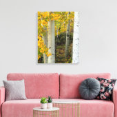 Colorado Espen Designer Ingepakt Canvas Afdruk (Insitu (Woonkamer))