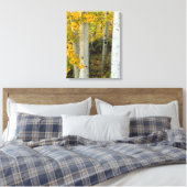 Colorado Espen Designer Ingepakt Canvas Afdruk (Insitu (Slaapkamer))